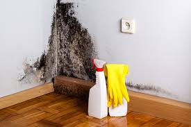 Best Asbestos and Lead Testing During Mold Inspection  in Destrehan, LA